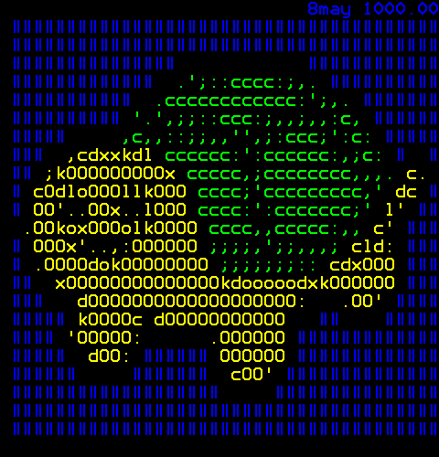 ASCII Turtle